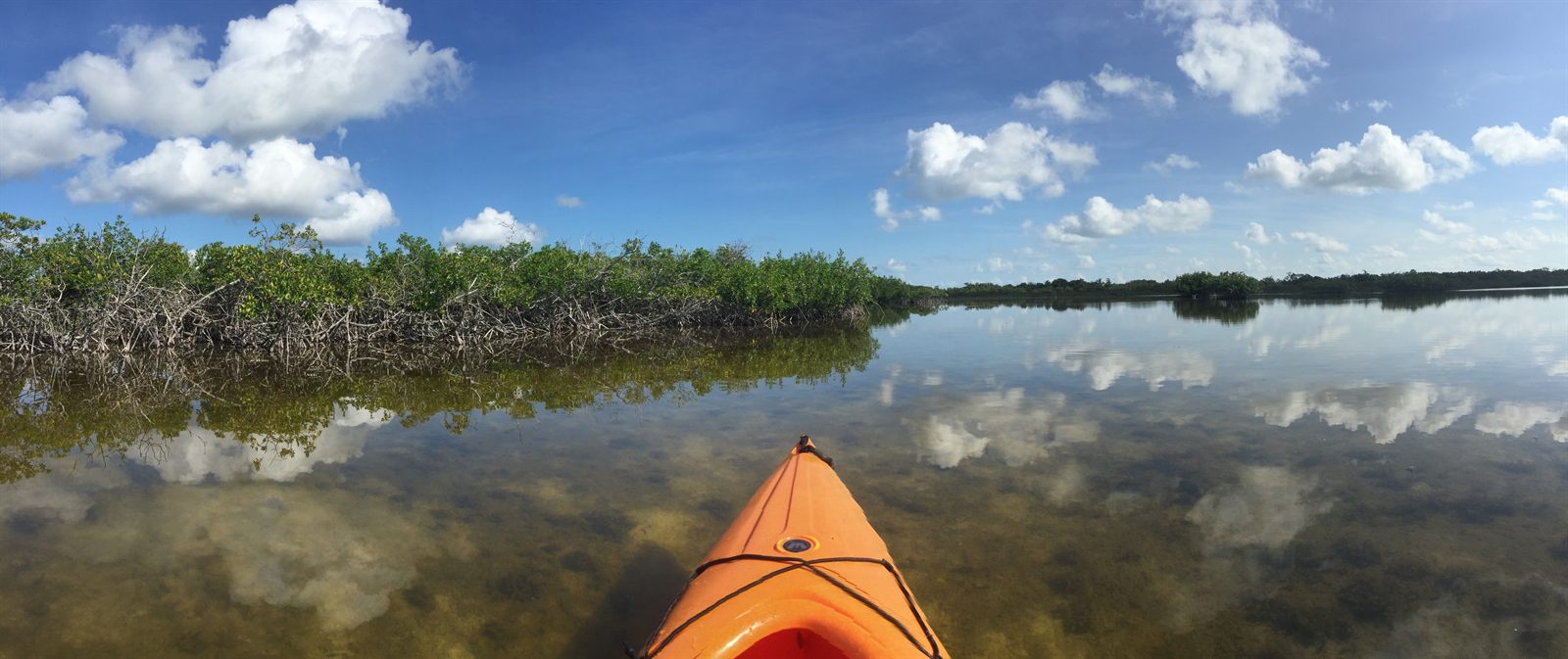 The bow of an orange kayak on still lagoon water that reflects clouds and a line of mangroves